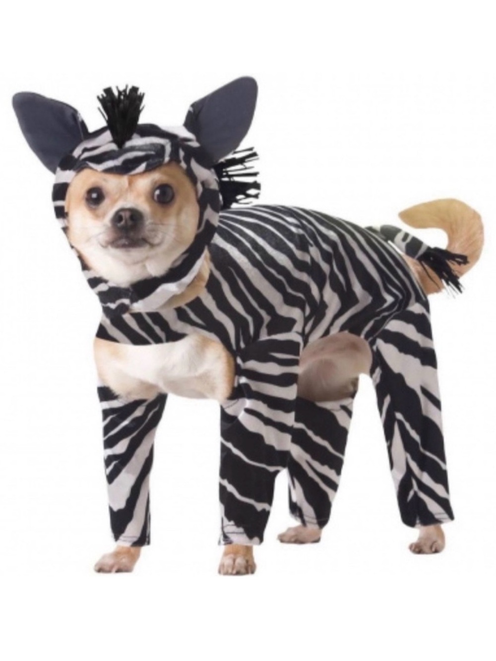 💞 Size XS Pet Animal Planet Zebra Puppy Dog & Kitty Cat Costume